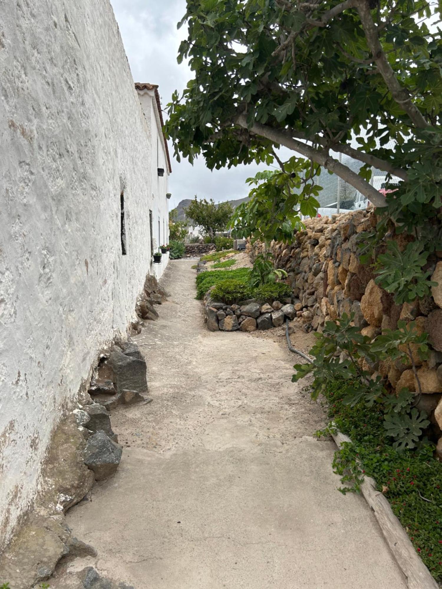 Casa Rural El Pasil 2 Arona  Eksteriør billede